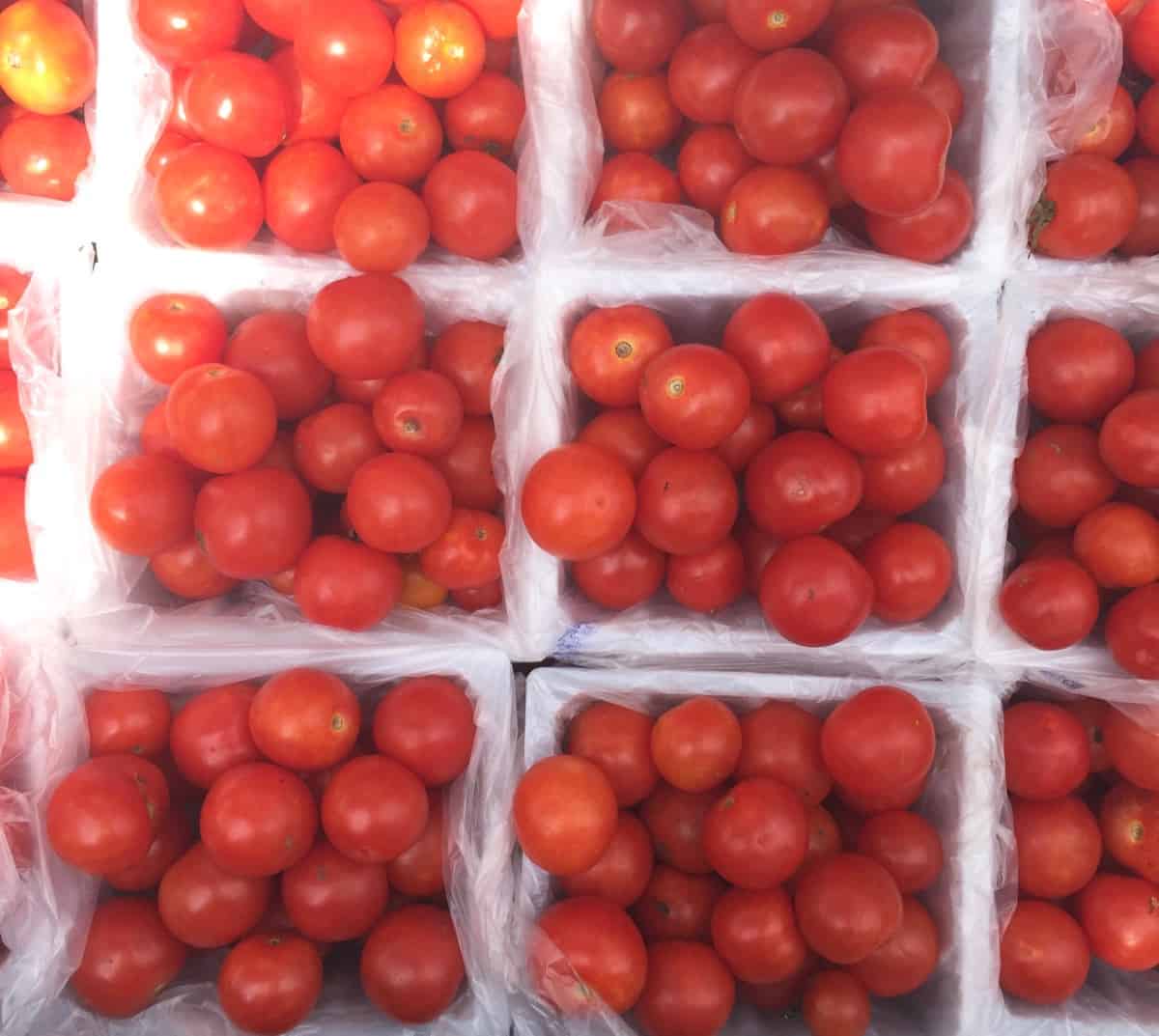Tomatoes