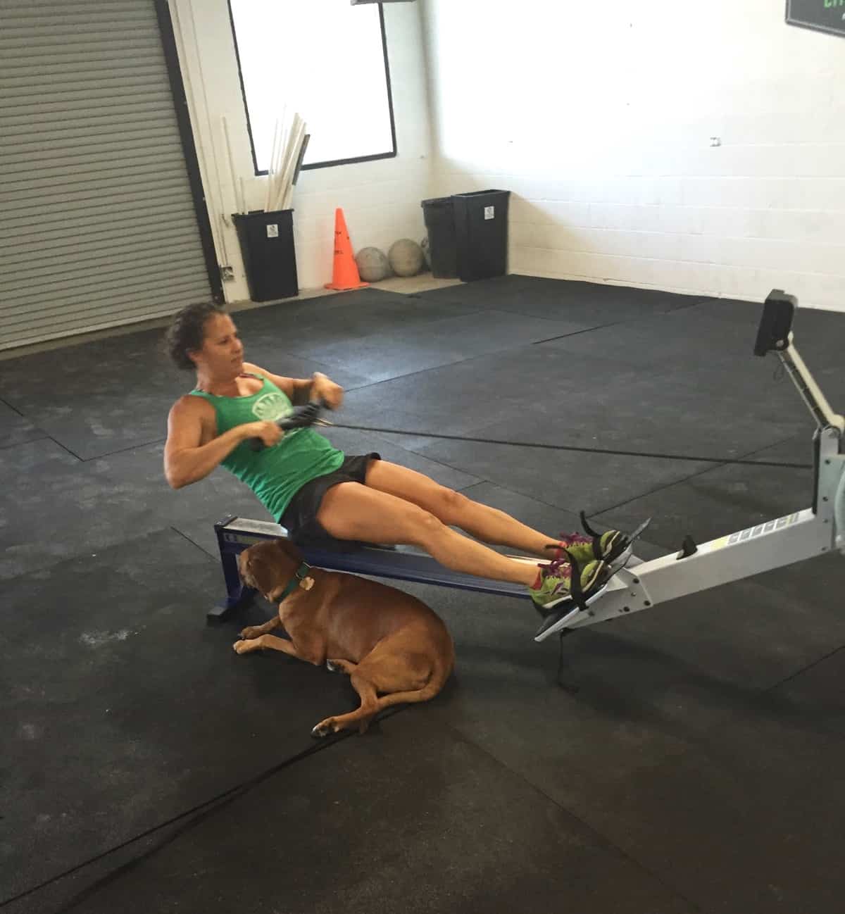 Weekly Workouts