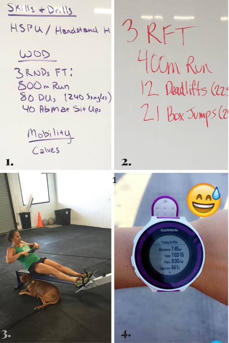 July Rewind 2016