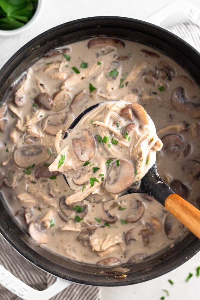 Large dutch oven with mushroom chicken soup with a ladle holding a scoop above it. It is all topped with fresh parsley.